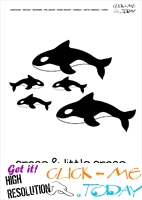 Printable Arctic Animal Orcas wall card - Orcas flashcard
