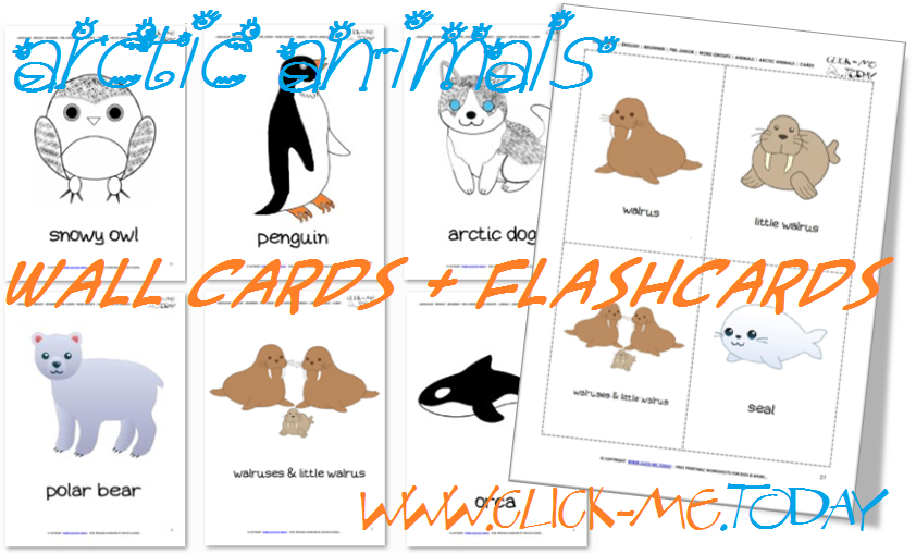 14 FREE Arctic animals Flashcards, PDF