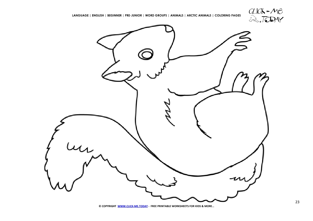 Coloring page Arctic Ground Squirrel - Color picture of Squirrel