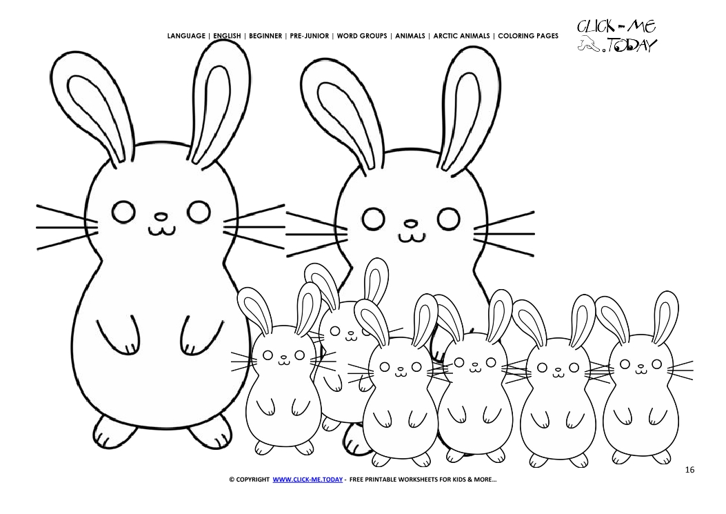 Coloring page Arctic Hares - Color picture of Hares