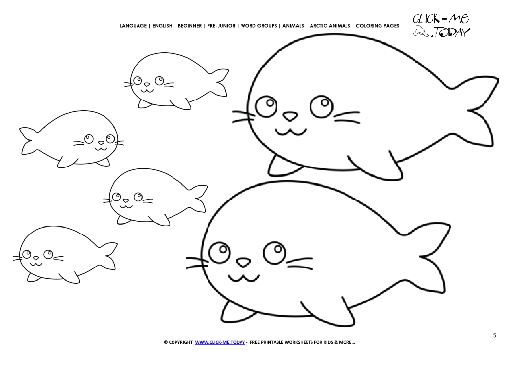 Coloring page Arctic Seals - Color picture of Seals