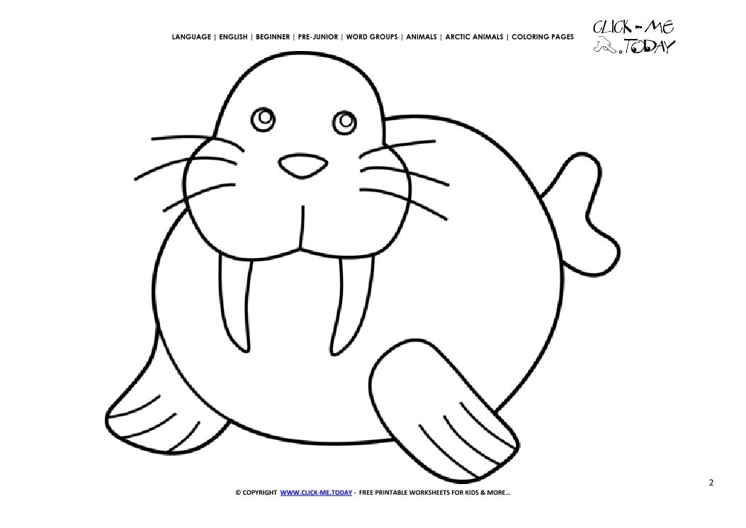 Coloring page Little  Walrus - Color picture of Walrus