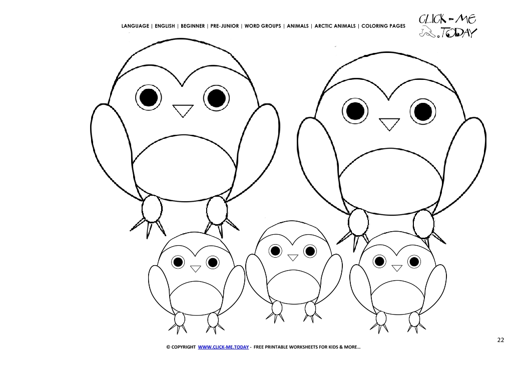 Coloring page Snowy Owls - Color picture of Owls