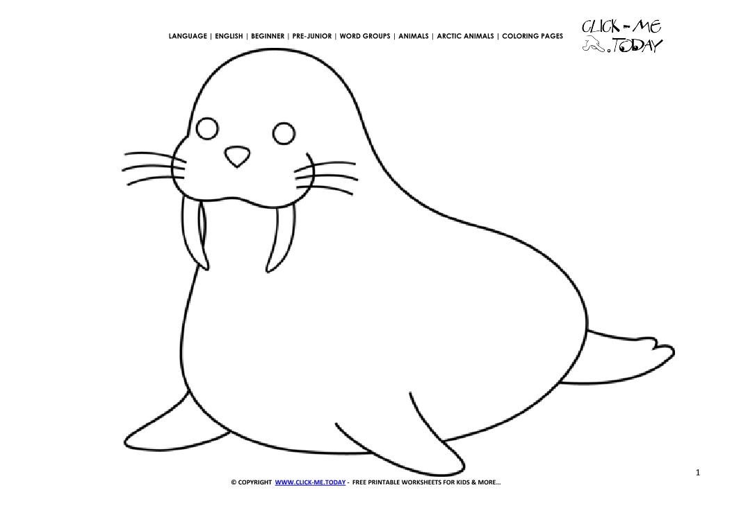 Coloring page Walrus - Color picture of Walrus
