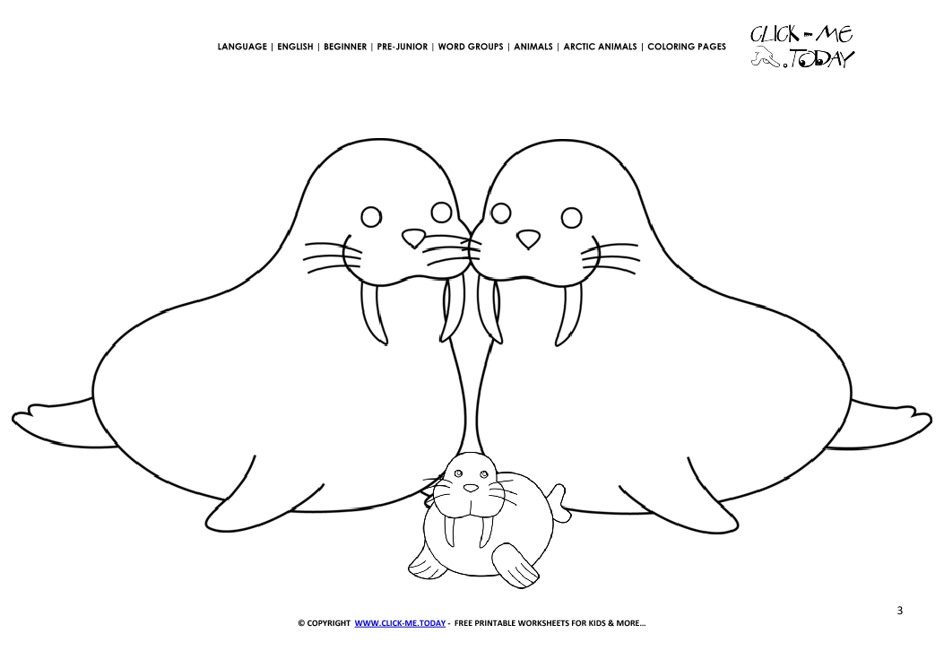 Coloring page Walruses - Color picture of Walruses