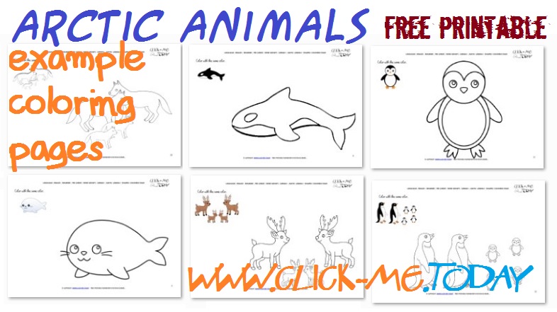 Free printable Arctic Animals Example Coloring Pages