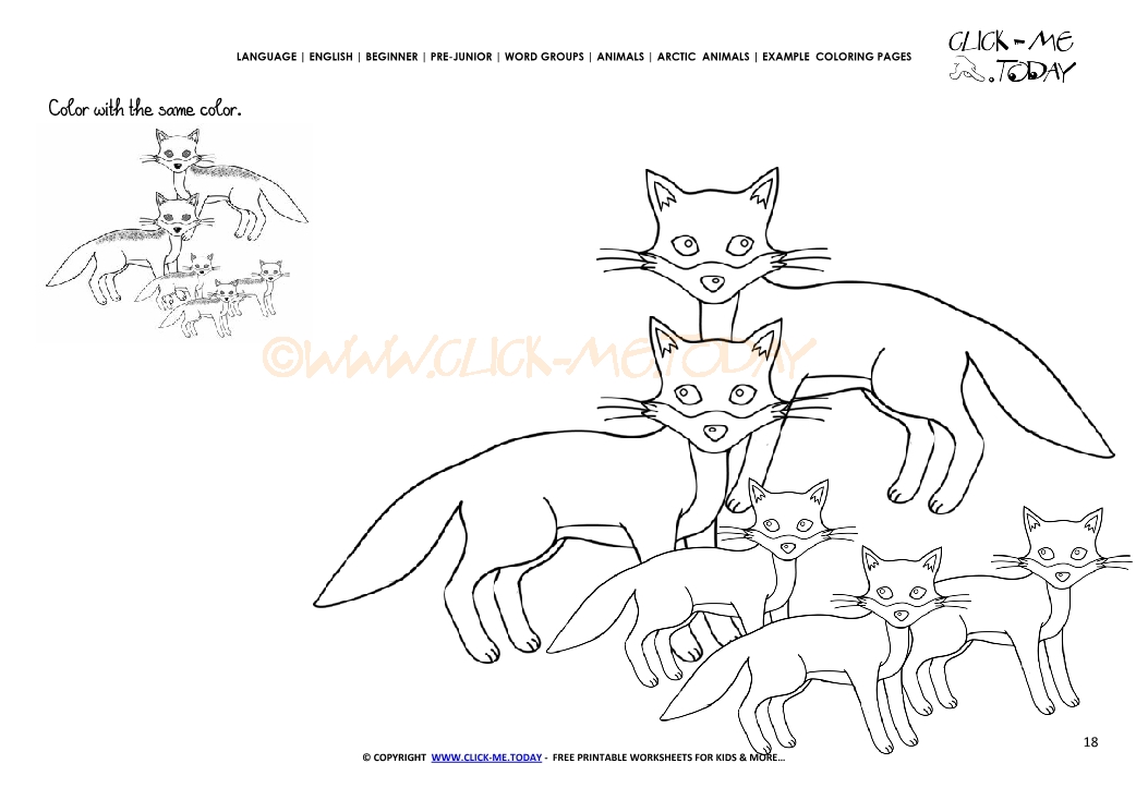 Example coloring page Arctic Foxes - Color picture of Foxes