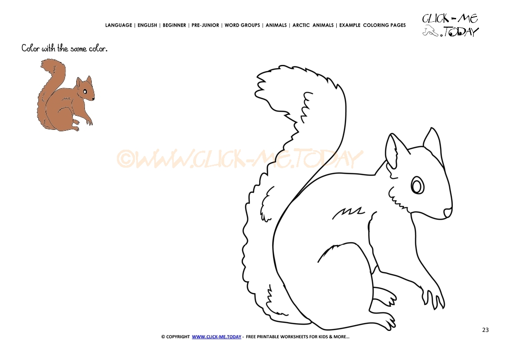 Example coloring page Arctic Ground Squirrel - Color picture of Squirrel