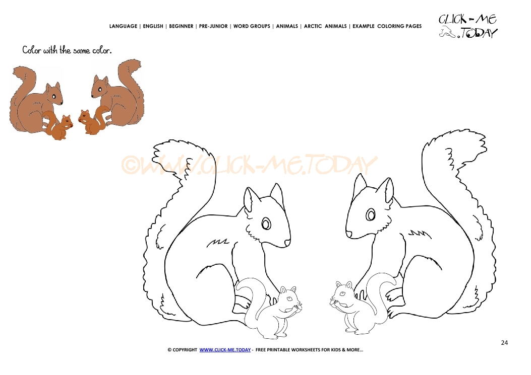 Example coloring page Arctic Ground Squirrels - Color picture of Squirrels