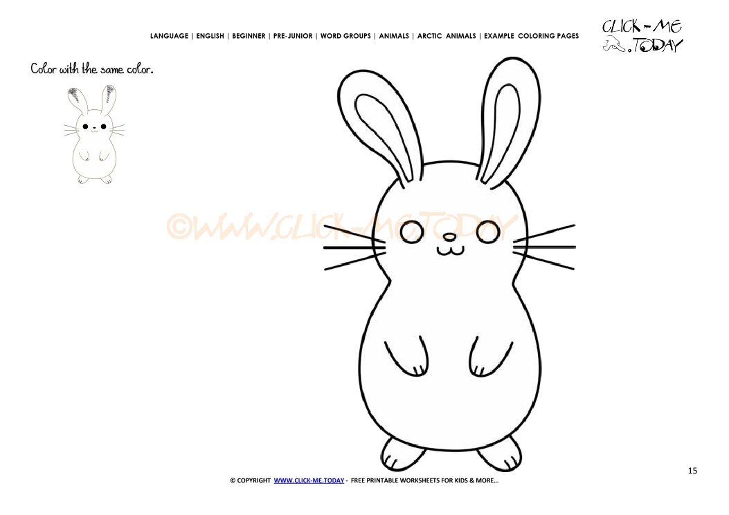 Example coloring page Arctic Hare - Color picture of Hare