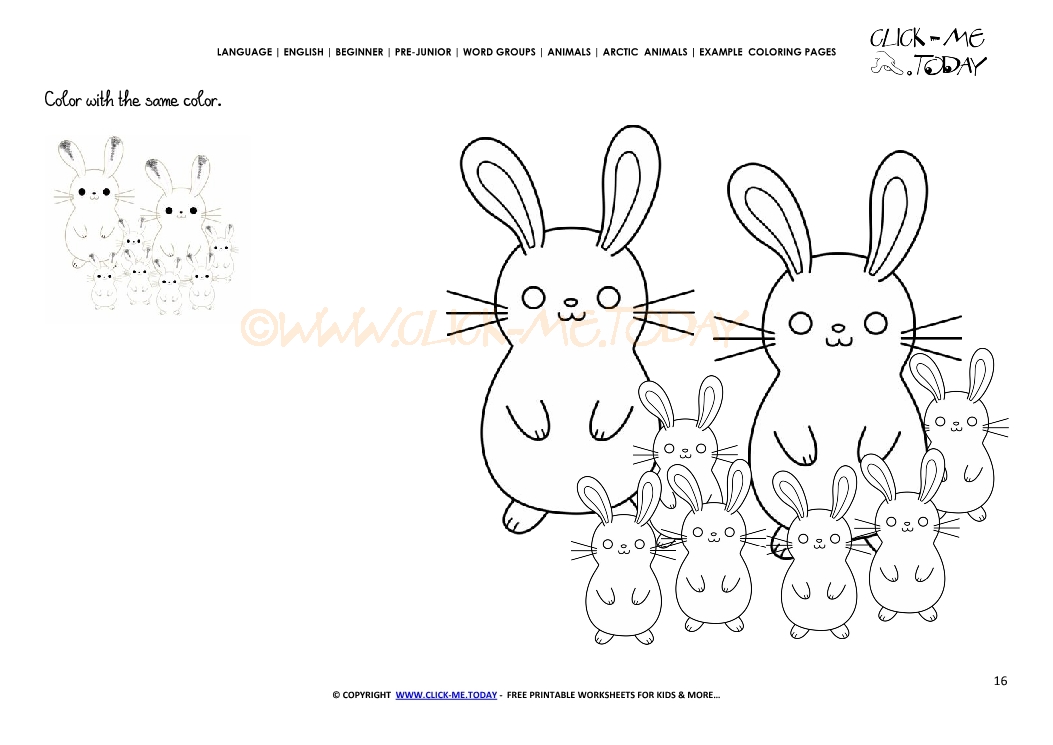 Example coloring page Arctic Hares - Color picture of Hares