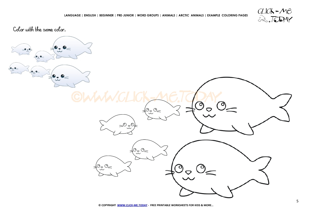 Example coloring page Arctic Seals - Color picture of Seals