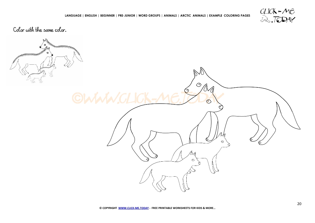 Example coloring page Arctic Wolves - Color picture of Wolves