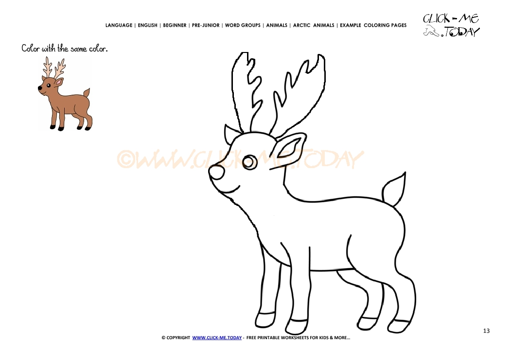 Example coloring page Caribou - Color picture of Caribou