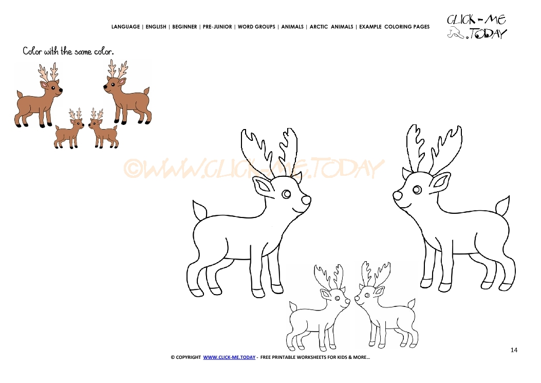 Example coloring page Caribous - Color picture of Caribous