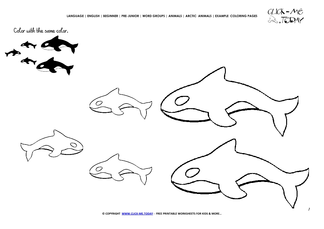 Example coloring page Orcas - Color picture of Orcas