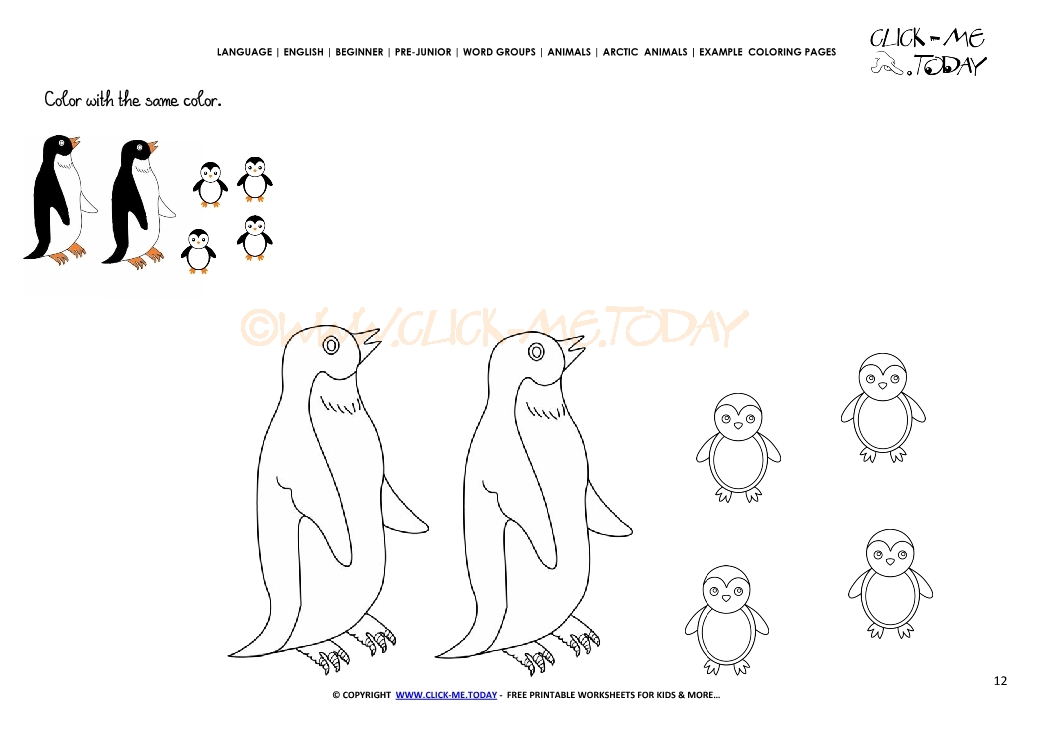 Example coloring page Penguins - Color picture of Penguins