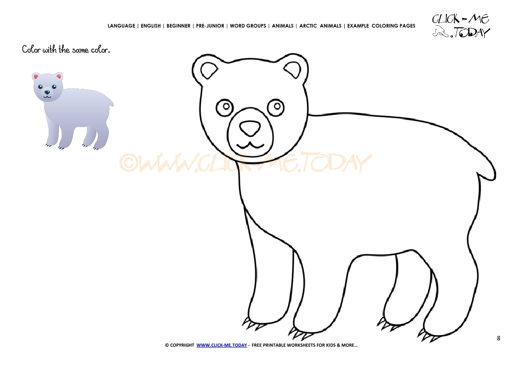 Example coloring page Polar Bear - Color picture of Bear