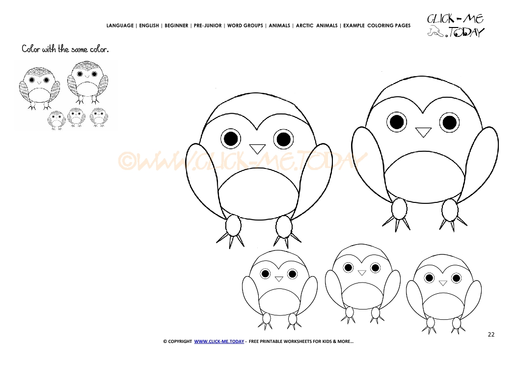 Example coloring page Snowy Owls - Color picture of Owls