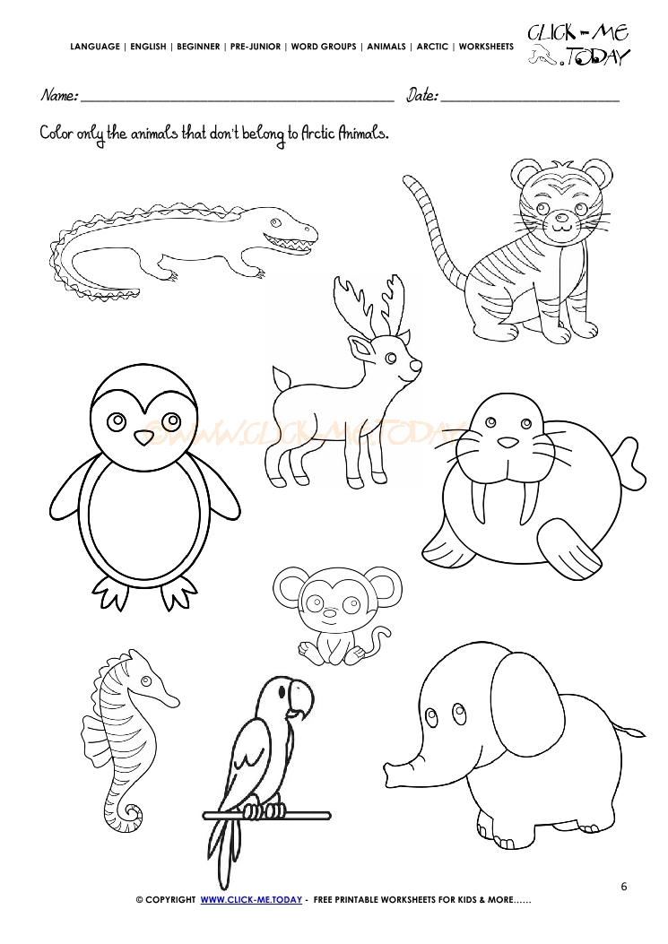 Arctic Animals Worksheet - Activity sheet Color 4