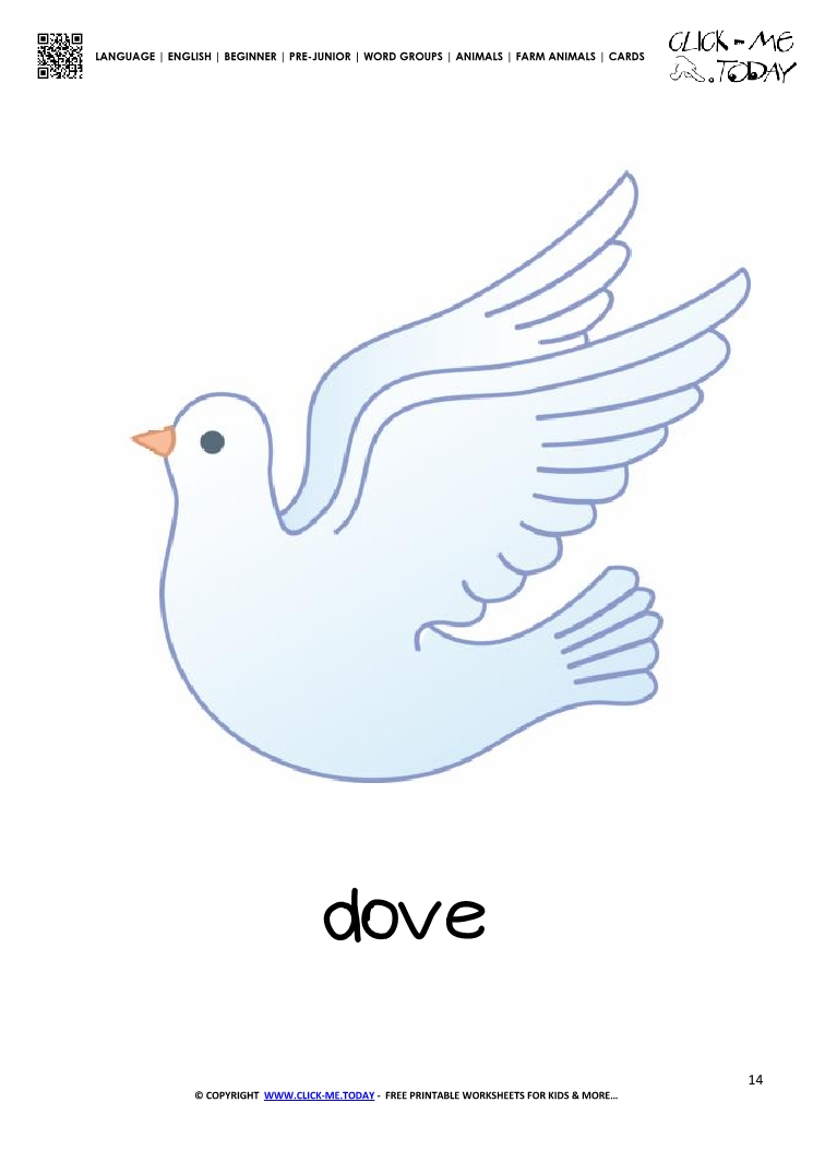 Farm animal flashcard Dove Card of Dove