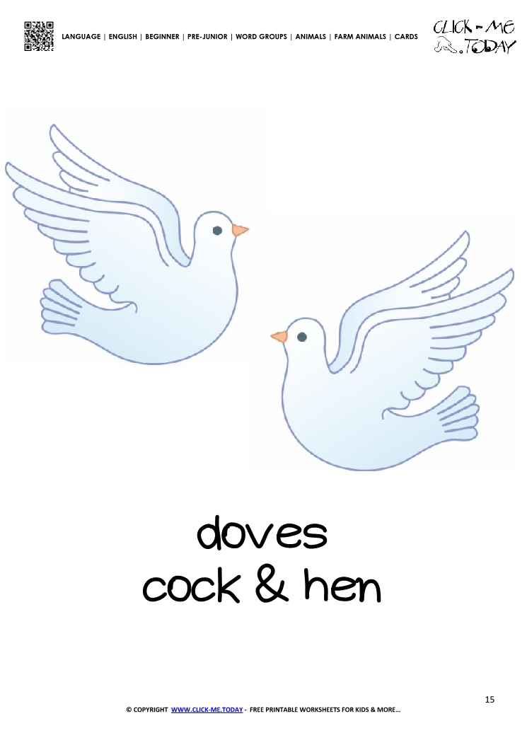 Farm animal flashcard Doves Card of Doves