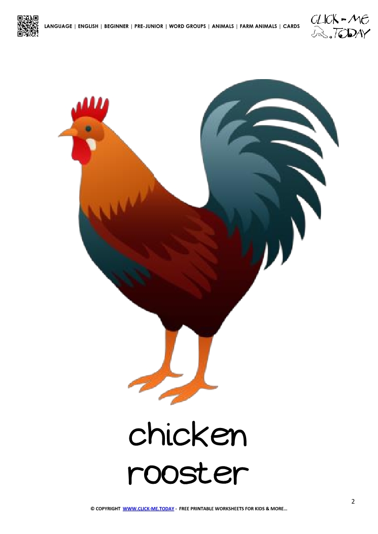 Farm animal flashcard Rooster - Printable card of Rooster
