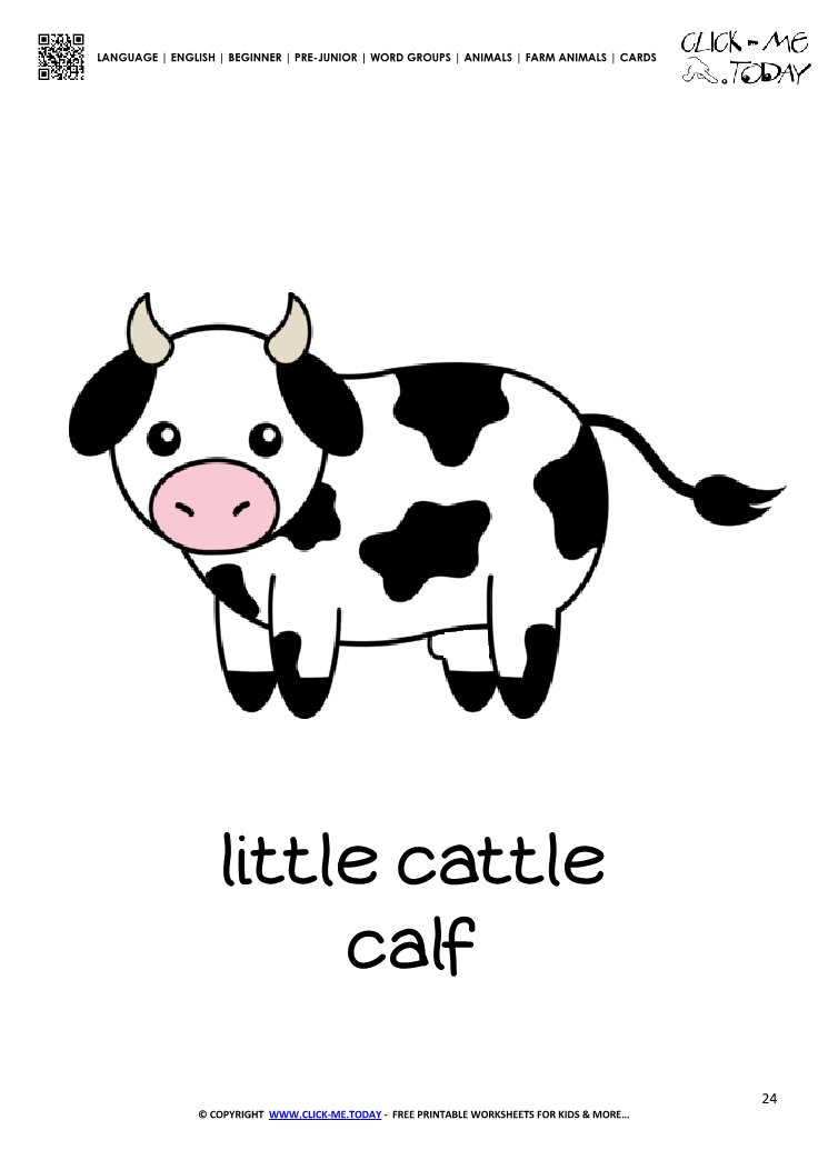 Farm animal flashcard cute Cow Card of Cow 