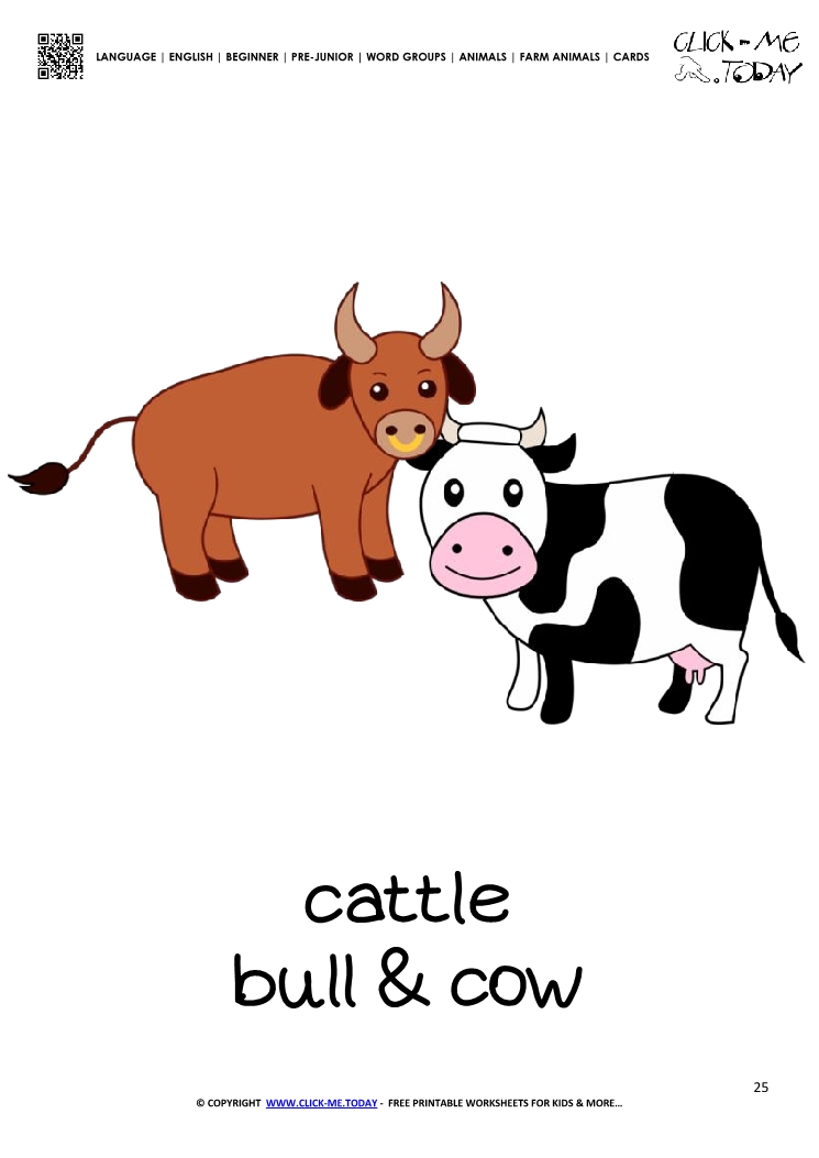 Farm animal flashcard Cows Card of Cows 