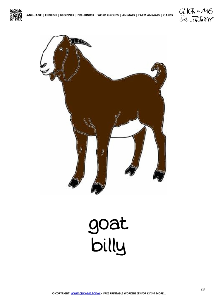 Farm animal flashcard Billy Goat Card of Goat