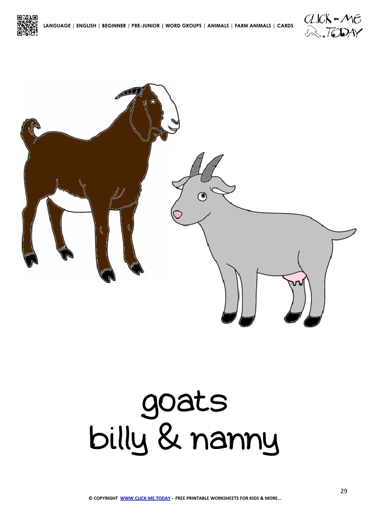 Farm animal flashcard Goats Card of Goat