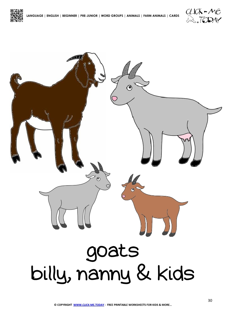 Farm animal flashcard Goat family kidsCard of Goats