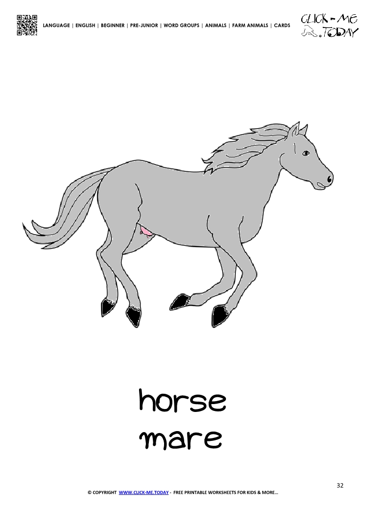 Farm animal flashcard Mare Horse Card of Horse
