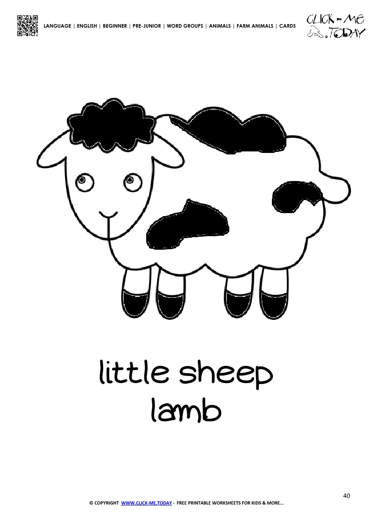 Farm animal flashcard cute Sheep LambCard of Sheep