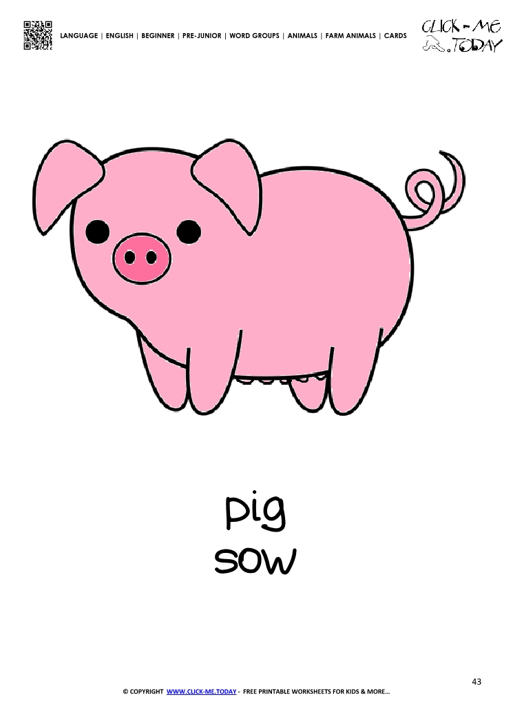 Farm animal flashcard cute Pig Sow Card of Pig