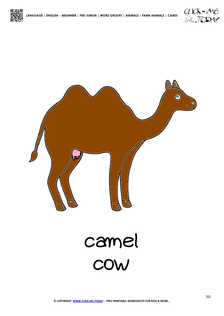 Farm animal flashcard Cow Camel Card of Camel