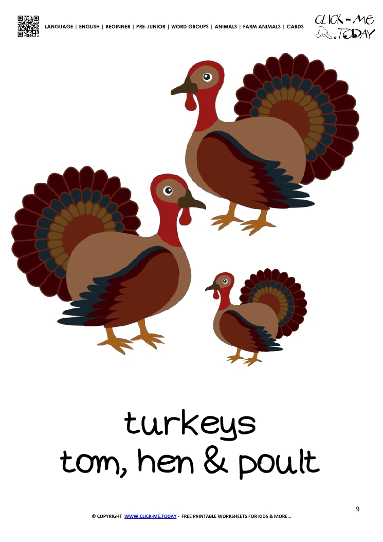 Farm animal flashcard Turkeys Card of Turkeys