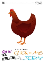 Farm animal flashcards Hen Card of Hen