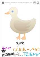 Farm animal flashcards Duck hen Card of Duck