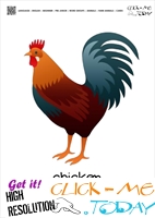 Farm animal flashcards Rooster Card of Rooster 