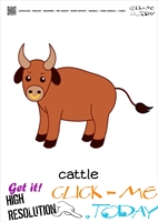 Farm animal flashcards Bull Card of Bull