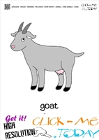 Farm animal flashcards Nanny Goat Card of Goat 