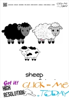 Farm animal flashcards Sheep family Card of Sheep