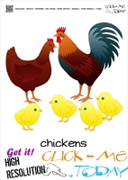 Farm animal flashcards Chickens  Card of Chickens 