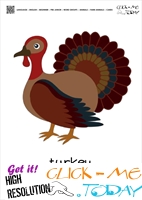 Farm animal flashcards Turkey Card of Turkey