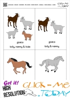Farm animals Classroom cards 8 - Goats & Horses