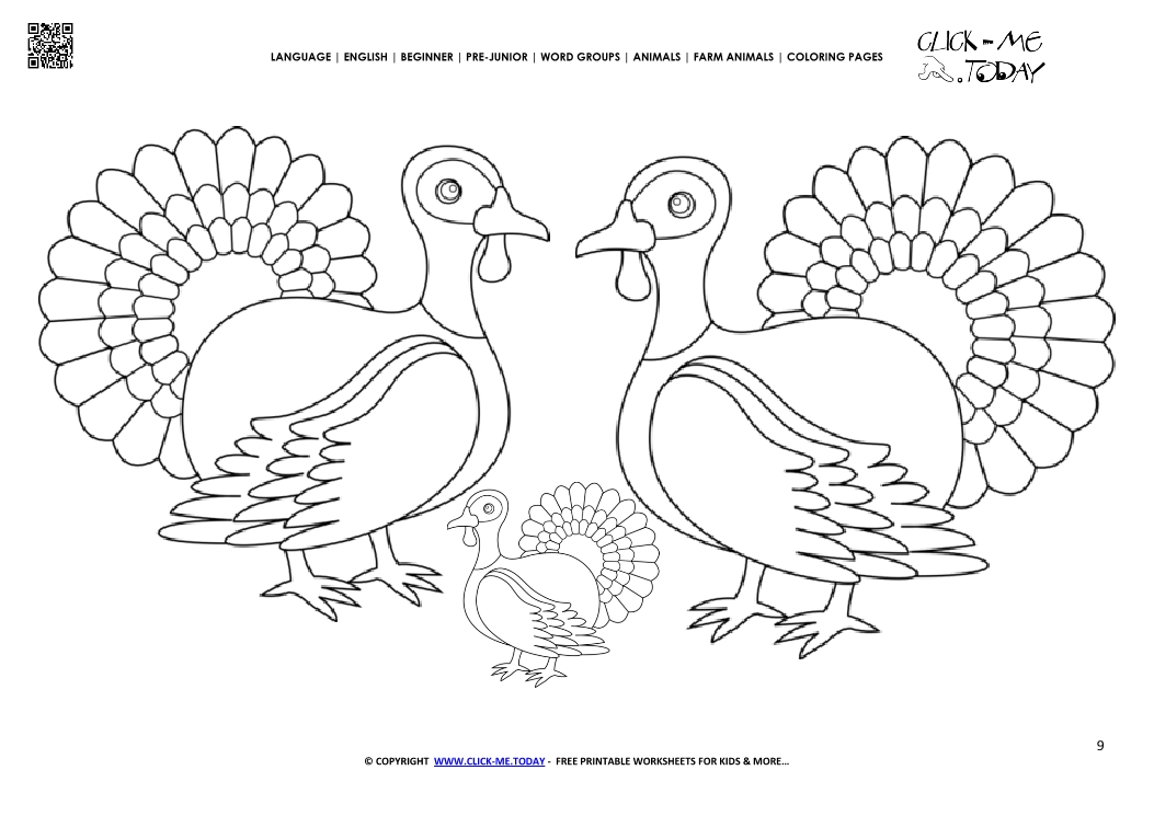 Coloring page Turkeys - Color picture of Turkeys