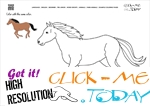 Example Coloring page Horse Stallion - Color picture of Horse