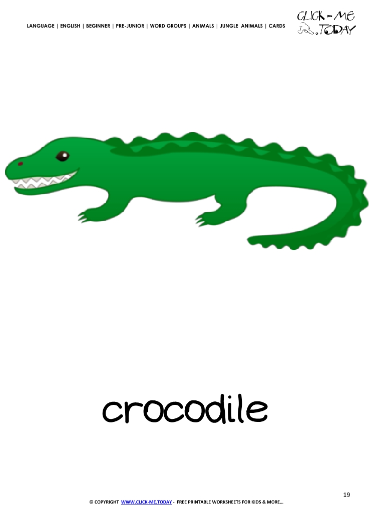 Jungle animal flashcard Crocodile - Printable card of Crocodile