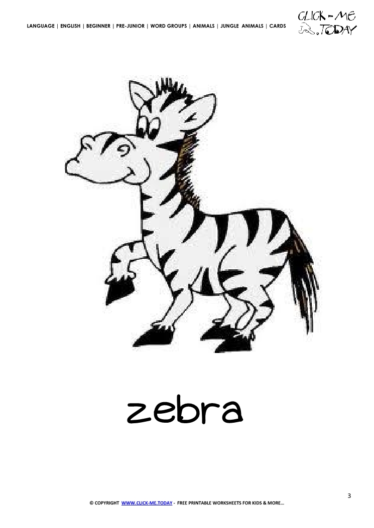 Jungle animal flashcard Zebra - Printable card of Zebra